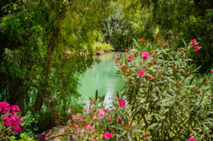 JORDAN RIVER