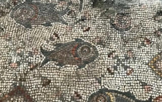 Fish Mosaic