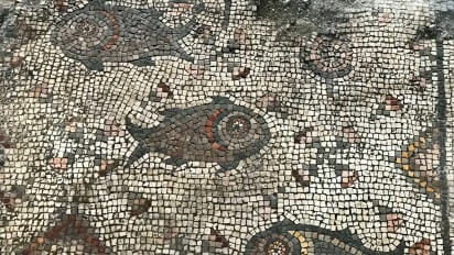 Fish Mosaic found in church