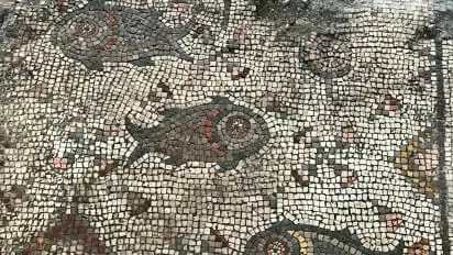 Fish Mosaic