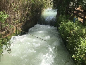 Tel Dan river