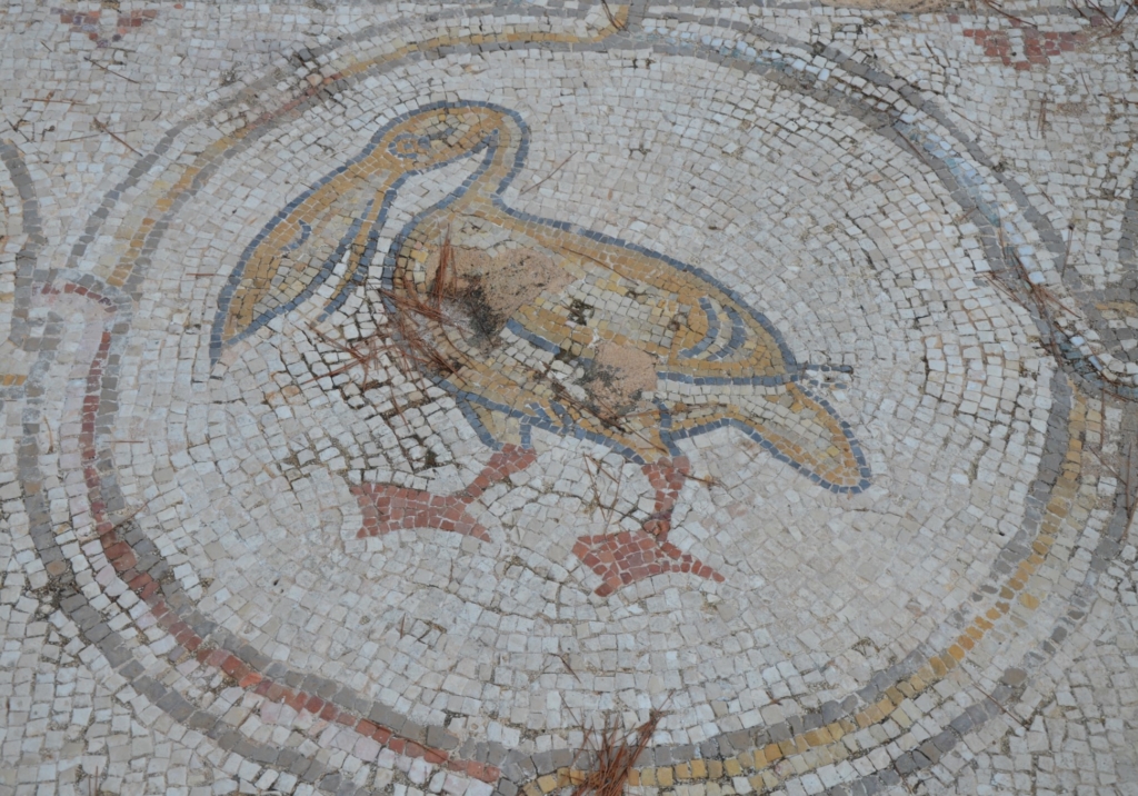 Bird Mosaic