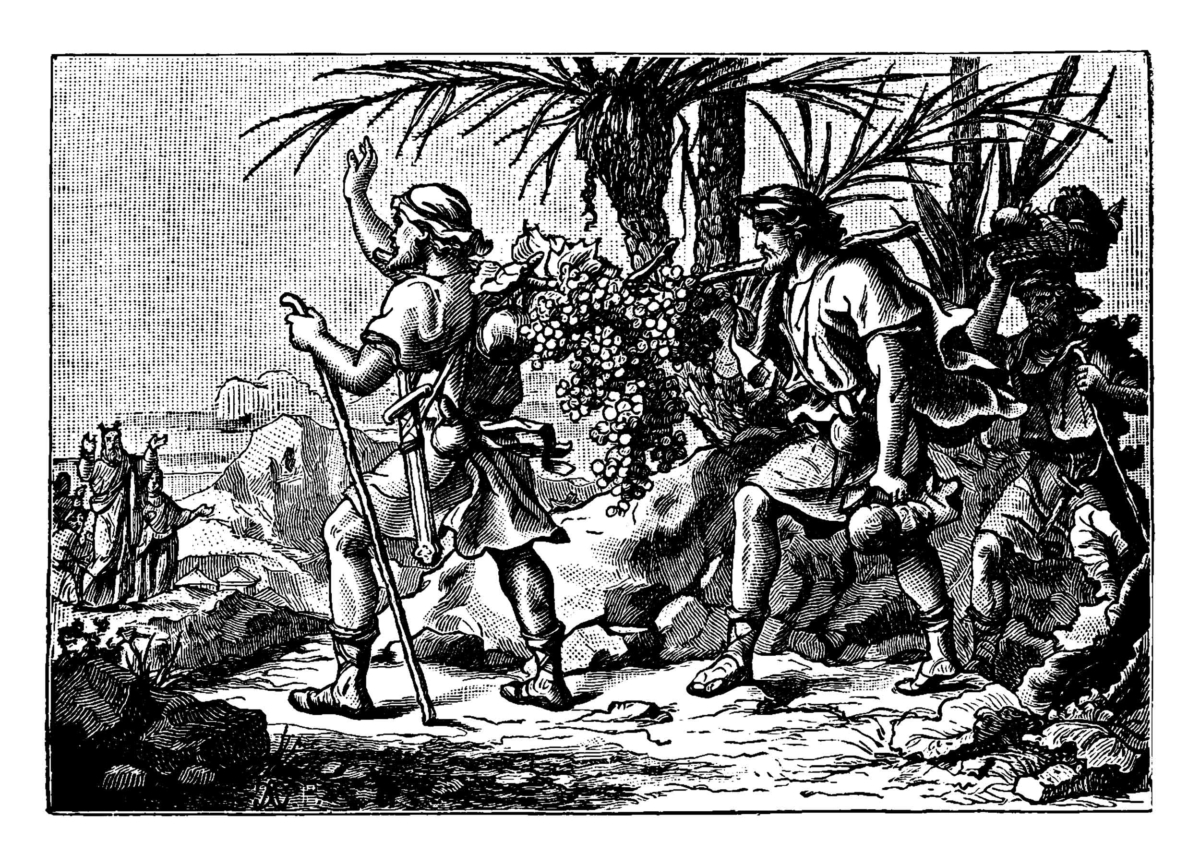 Parable of the Sower
