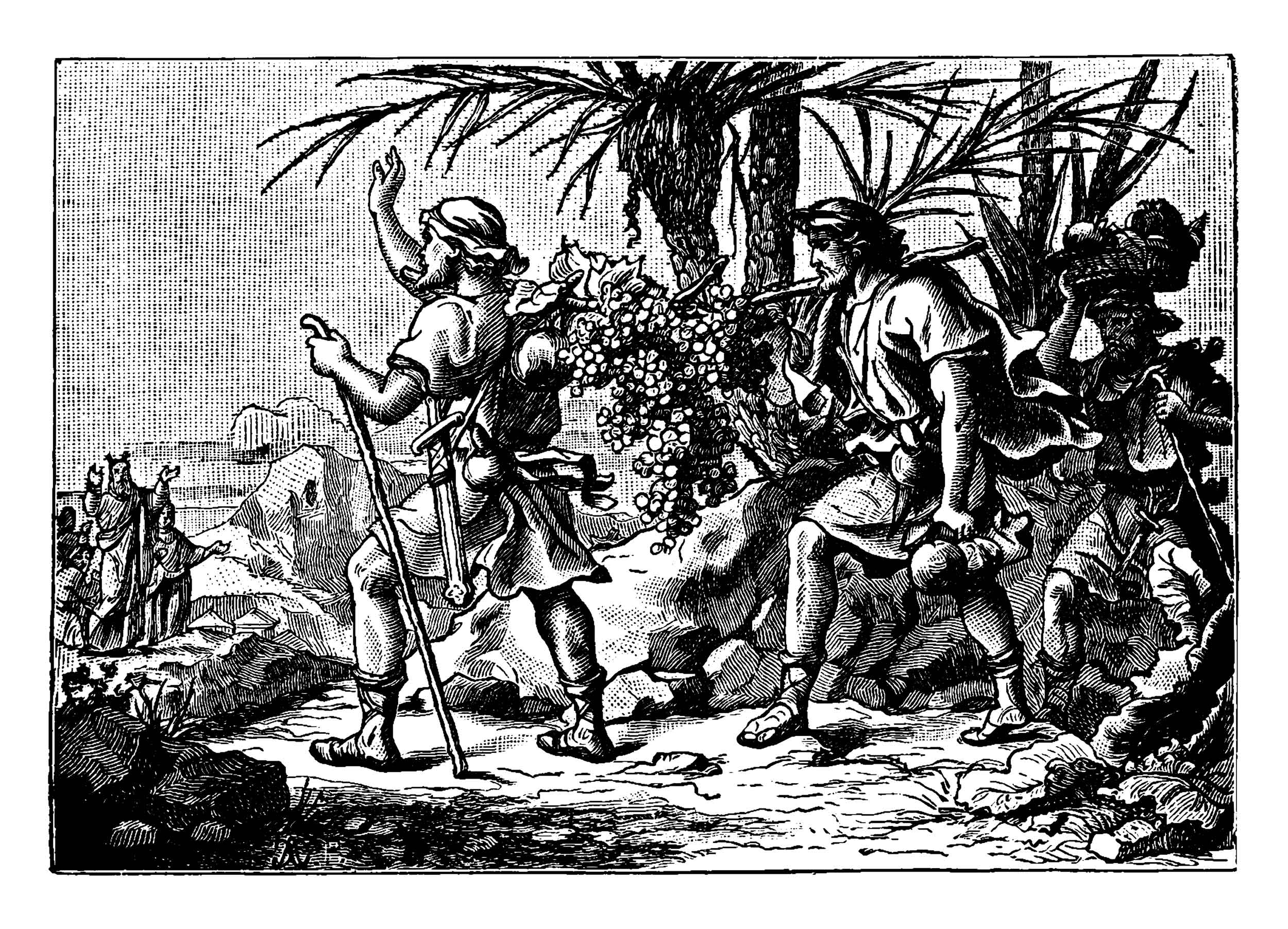 Tribes of Canaan Tribes of Canaan