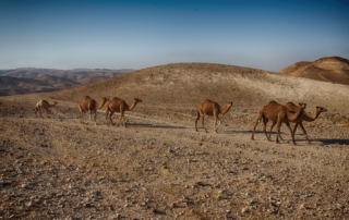 The Biblical Significance of the Israeli Desert
