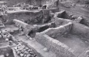 Archaeology excavation