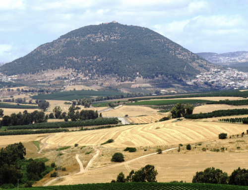 A visit to Mount Tabor
