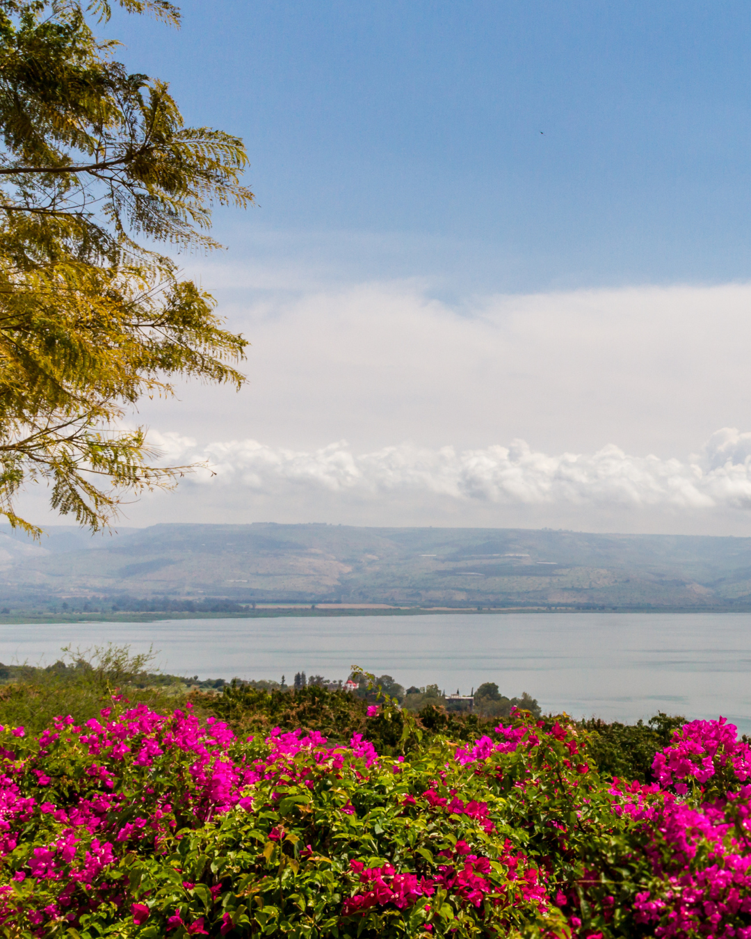 Sea of Galilee