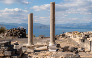 Hippos National park
