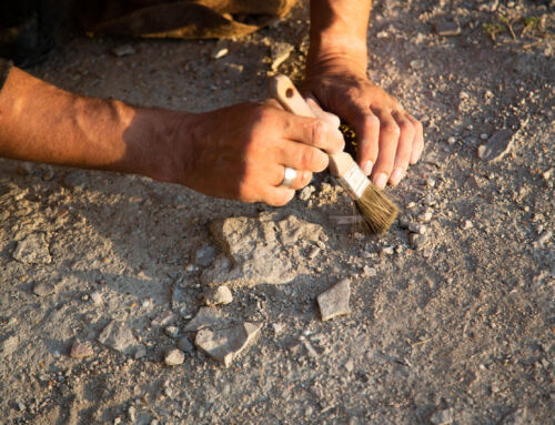 2,500-Year-Old Assyrian Document Found in Jerusalem