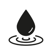 Untitled design (12)