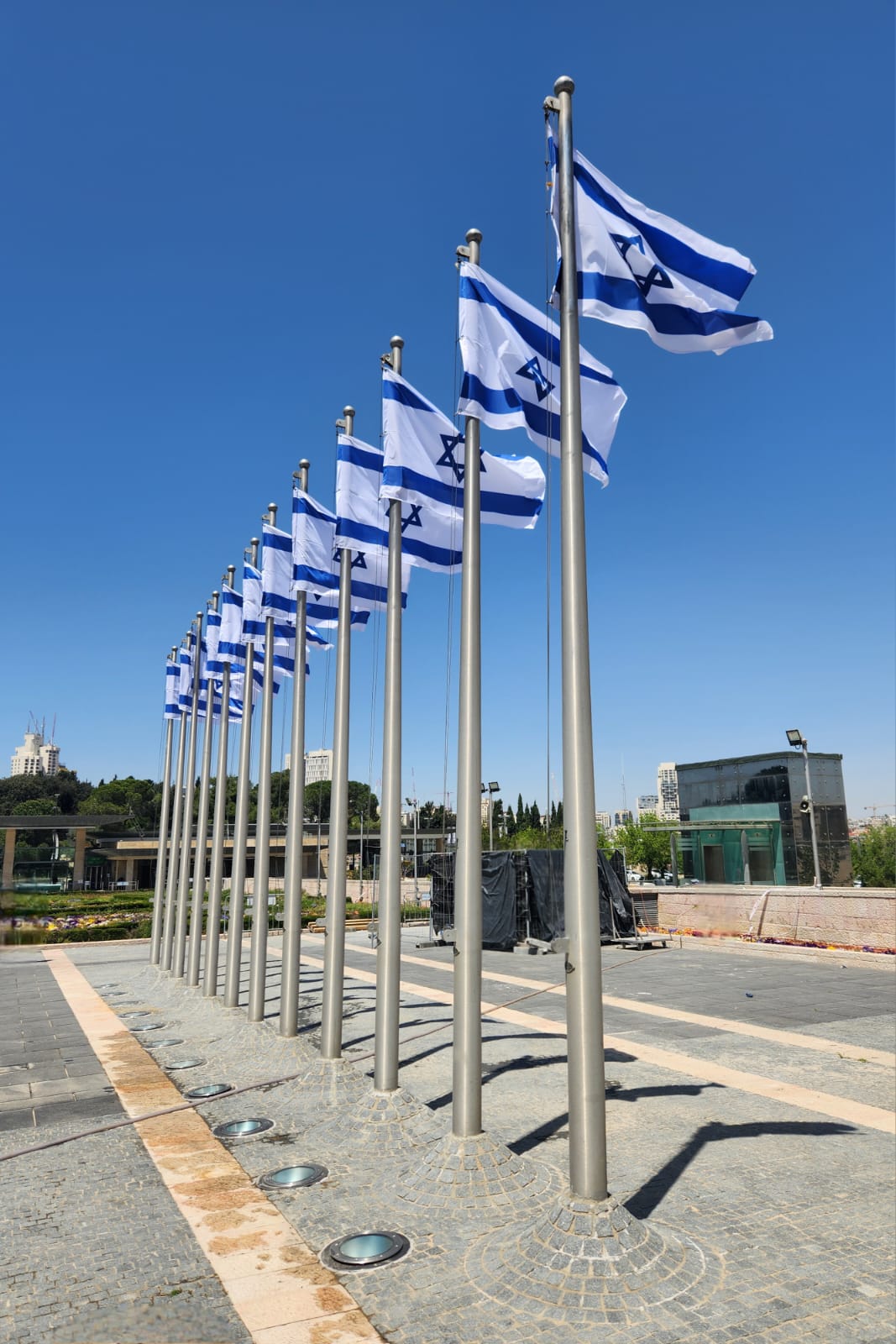 Knesset flags